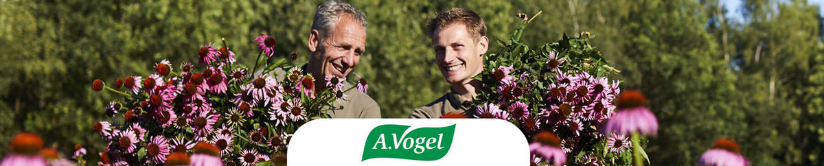A.Vogel BENU
